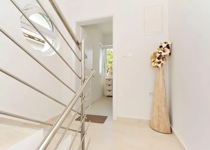 Deluxe Goya Ζαντάρ