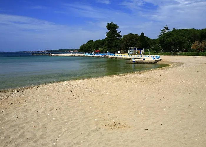 Deluxe Goya Ζαντάρ